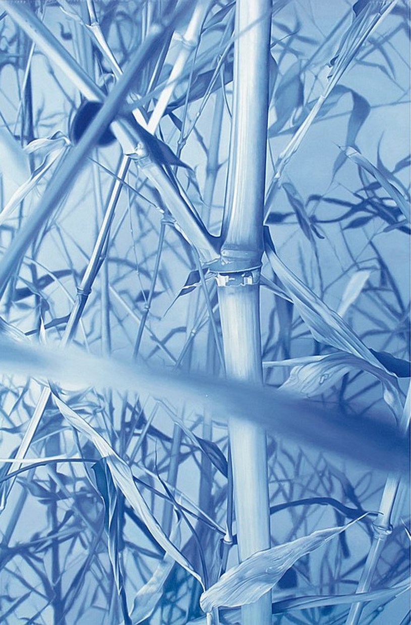 Alan Michael (1967) - Foto 1